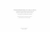 TRANSFORMATIONS IN PUBLIC SPACE: FINANCIAL DEVELOPMENT AND THE RISE OF PRIVATELY OWNED PUBLIC SPACES