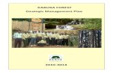 Karura Forest Management Plan