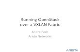 Running OpenStack over a VXLAN Fabric