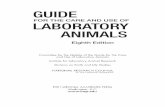 Guide for the Care and Use of Laboratory Animals, 8th edition ...