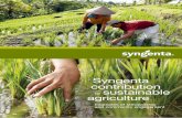 Syngenta contribution to sustainable agriculture (PDF 7.0MB)