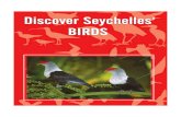 Discover Seychelles' Birds