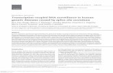 Transcription-coupled RNA surveillance in human genetic diseases ...