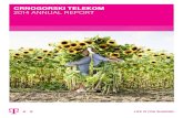 Crnogorski Telekom 2014 annual report