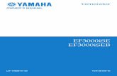 EF3000iSE/B Owner's Manual