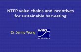 NTFP value chains and incentives for sustainable harvesting