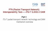 Packet Transport Network