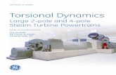 Torsional Dynamics: Large 2-pole and 4-pole Steam Turbine ...