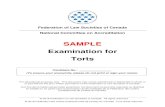 SAMPLE Examination for Torts
