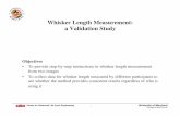 Whisker Length Measurement: a Validation Study