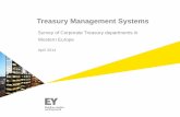 Treasury Management Systems