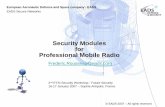 Security modules for Professional Mobile Radio