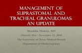 Management of suprastomal and tracheal granulomas: An Update