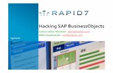 Hacking SAP BusinessObjects