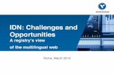 IDN: Challenges and Opportunities