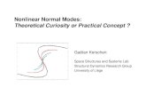 Nonlinear Normal Modes: Theoretical Curiosity or Practical Concept ?