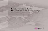 Enterprise GIS in National Security