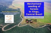 Mechanized seeding of forests in Xingu, Central Brazil