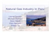 Natural Gas Industry In Peru