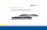 Deployment Guide: Carrier Grade NAT (CGN) / Large Scale NAT ...