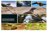 Priority Information Needs for Band-tailed Pigeons, Zenaida Doves ...
