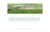 Reducing emissions from oil palm cultivation in Indonesia