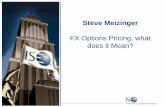 Steve Meizinger FX Options Pricing, what does it Mean?