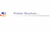 Protein Structure (I1-I3)