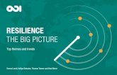 Resilience the big picture: Top themes and