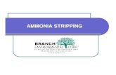 Ammonia Stripping Explained