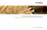 Rolling Bearing Damage: Recognition of damage and bearing ...
