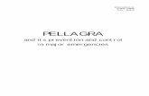 Pellagra and its prevention and control in major emergencies