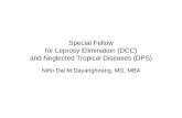 Special Fellow for Leprosy Elimination and Neglected Tropical ...