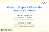 What to Expect When the Auditors Come.ppt