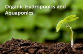Organic Hydroponics and Aquaponics