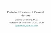 Detailed Review of Cranial Nerves