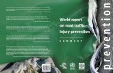 (2004) World report on road traffic injury prevention