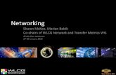 Network monitoring and metrics