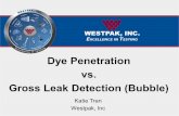 Dye Penetration vs. Gross Leak Detection (Bubble)