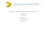 2015 SOA Annual Meeting & Exhibit Session 57 Lecture, Cyber ...