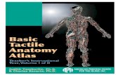 Basic Tactile Anatomy Atlas