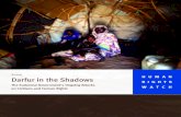 Darfur in the Shadows: The Sudanese Government's Ongoing ...