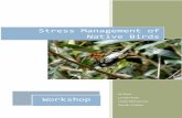 Stress in Bird Care workshop notes.pdf