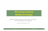 Pharmaceutical Biotechnology - Download