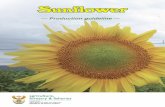 Production guidelines: Sunflower