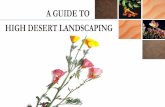 HIGH DESERT LANDSCAPING A GUIDE TO