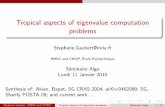 Tropical aspects of eigenvalue computation problems