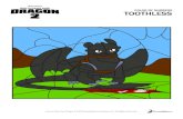 COLOR BY NUMBERS TOOTHLESS - How to Train Your