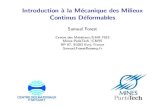 Introduction `a la Mécanique des Milieux Continus Déformables