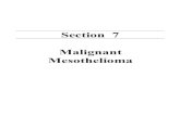Section 7 Malignant Mesothelioma